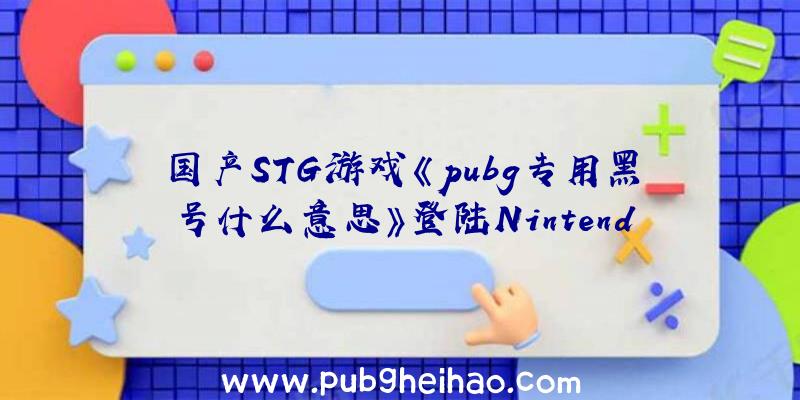 国产STG游戏《pubg专用黑号什么意思》登陆Nintendo